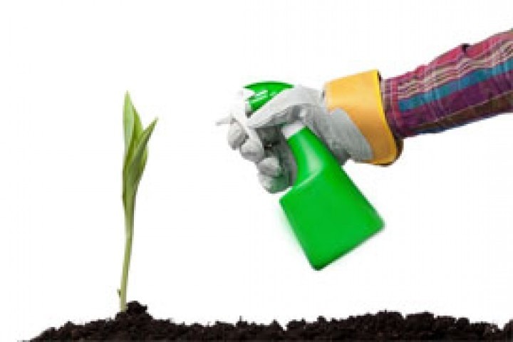 organic pesticide Spraying on the small nursery plant